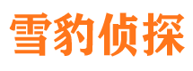 化隆侦探公司